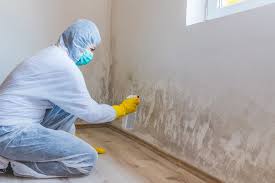 Why You Should Choose Our Mold Remediation Services in Lake Shore, WA