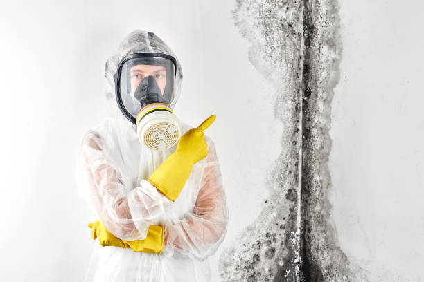 Best Biohazard Mold Removal  in Lake Shore, WA